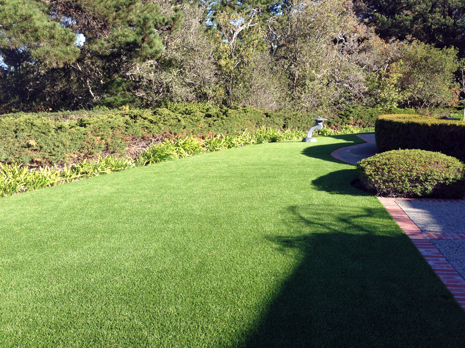 Fake Lawn Huerfano, New Mexico Landscape Ideas, Front Yard Design