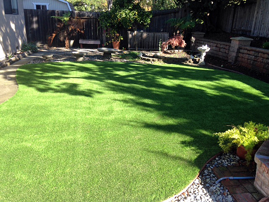 Faux Grass La Cienega New Mexico Grass For Dogs Backyard Design