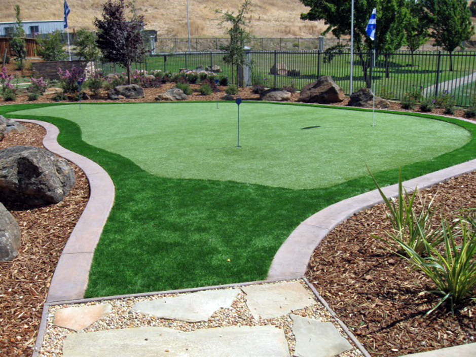 Synthetic Lawn Los Ranchos de Albuquerque, New Mexico Lawn And Landscape, Beautiful Backyards