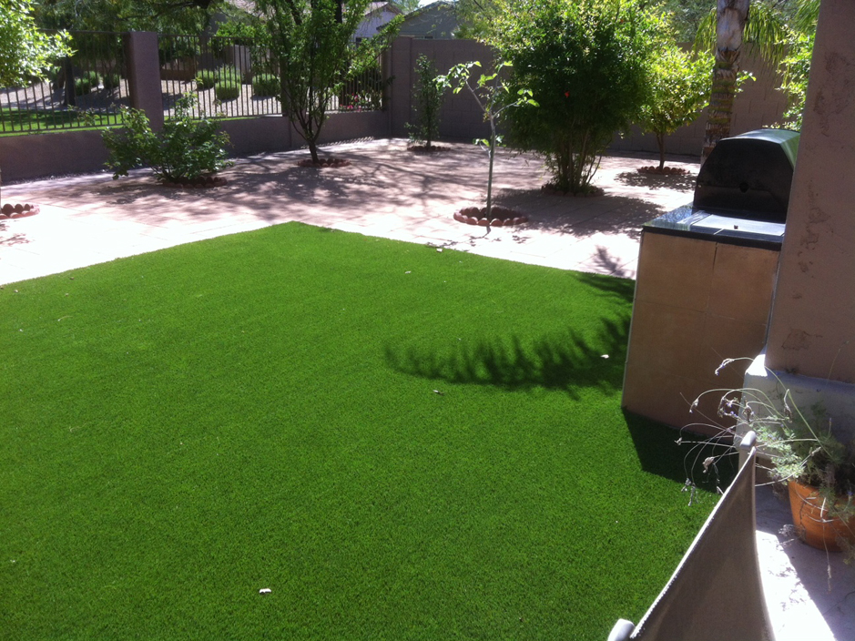 Synthetic Turf Pojoaque New Mexico Landscaping Dog Kennels