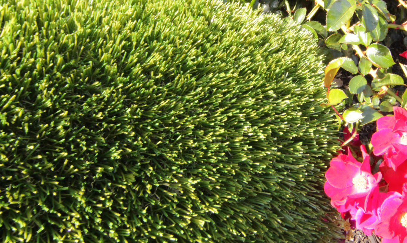 Artificial Grass V Blade-77 Artificial Grass Albuquerque New Mexico