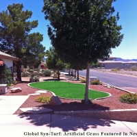 Artificial Grass North Valley, New Mexico Paver Patio, Front Yard Landscape Ideas