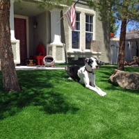Artificial Turf Installation Cruzville, New Mexico Lawn And Landscape, Front Yard Ideas