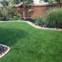 Grass Carpet Hurley, New Mexico Indoor Dog Park, Backyard Landscaping