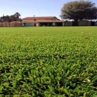 Grass Carpet Ojo Amarillo, New Mexico Landscape Design