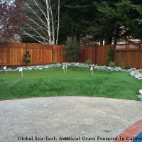 Installing Artificial Grass Chical, New Mexico Putting Green, Small Backyard Ideas