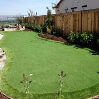 Outdoor Carpet Ponderosa Pine, New Mexico Diy Putting Green, Backyard Landscaping Ideas
