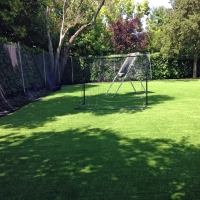 Turf Grass San Lorenzo, New Mexico Home And Garden, Backyard Designs