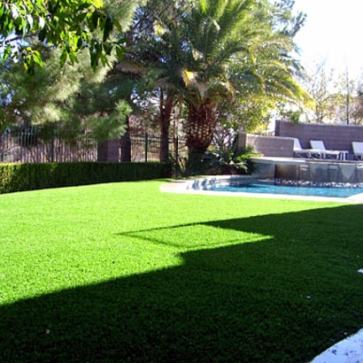 Synthetic Grass & Putting Greens in Blanco, New Mexico