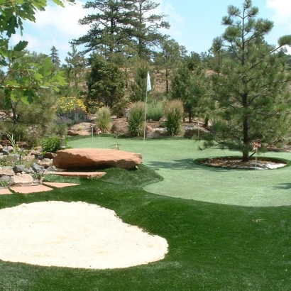 Synthetic Grass in Cuyamungue, New Mexico