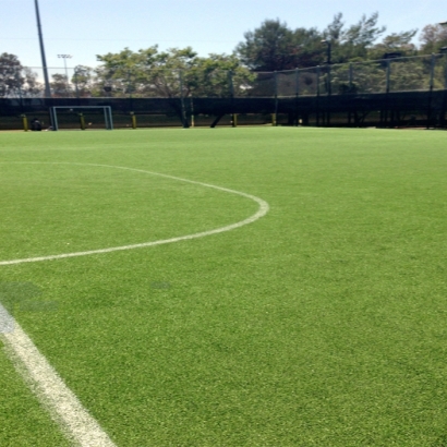 Synthetic Turf Escondida, New Mexico