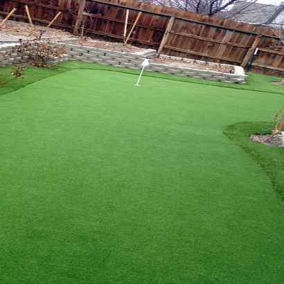 Artificial Grass Carpet Mesita, New Mexico Landscaping, Backyard