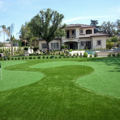 Artificial Grass Carpet Roy, New Mexico Lawns, Front Yard