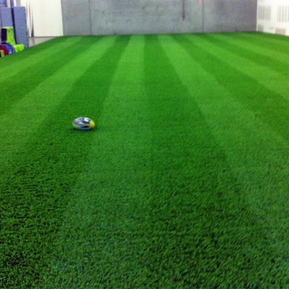 Artificial Grass in Sandia Heights, New Mexico