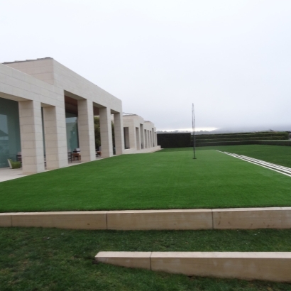 Artificial Grass Carpet Valencia, New Mexico Lawn And Landscape, Commercial Landscape