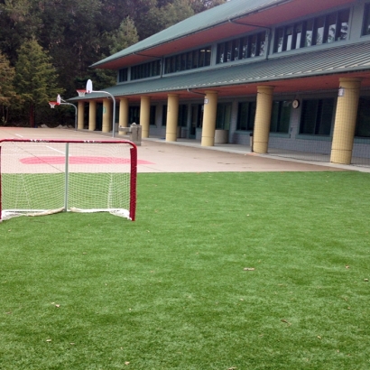 Artificial Grass Des Moines, New Mexico Football Field, Commercial Landscape