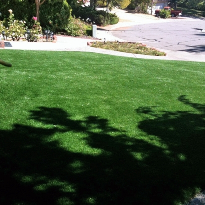 Artificial Turf in Corona, New Mexico