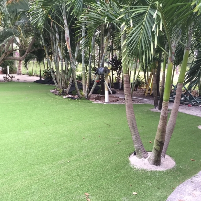 Artificial Grass in Encino, New Mexico