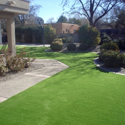 Artificial Turf in Madrid, New Mexico
