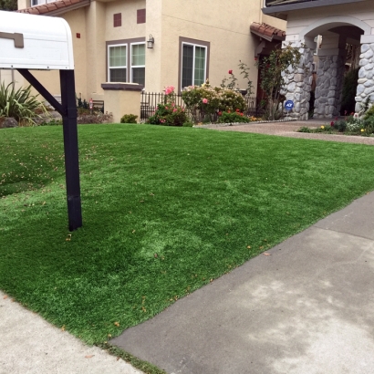 Synthetic Lawns & Putting Greens in Curry County, New Mexico
