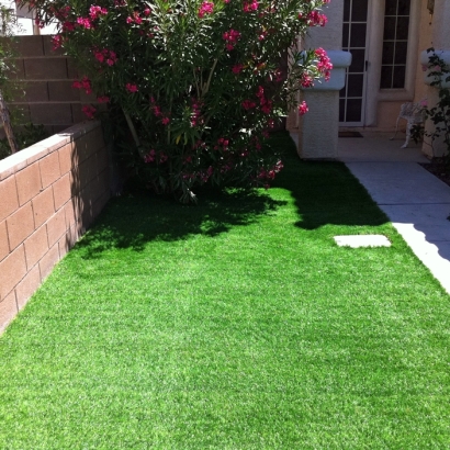 Artificial Turf in Nenahnezad, New Mexico