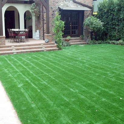 Artificial Turf in Nogal, New Mexico