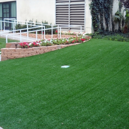 Outdoor Putting Greens & Synthetic Lawn in Oasis, New Mexico