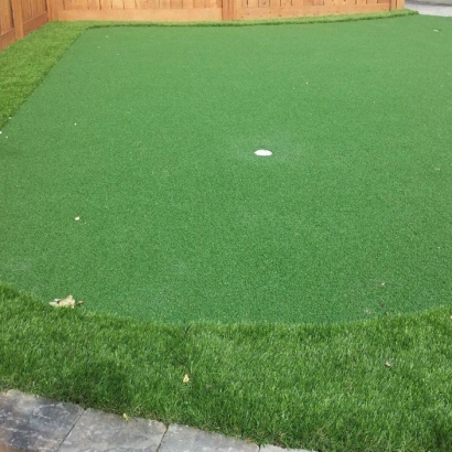 Artificial Grass Installation San Lorenzo, New Mexico Design Ideas