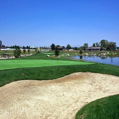 Synthetic Lawns & Putting Greens in Tijeras, New Mexico