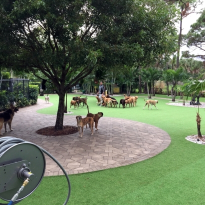 Synthetic Turf in Monterey Park, New Mexico