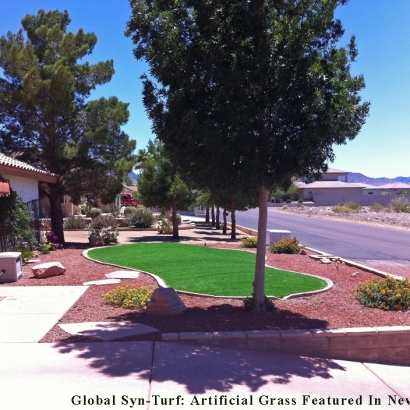 Backyard Putting Greens & Synthetic Lawn in North Valley, New Mexico