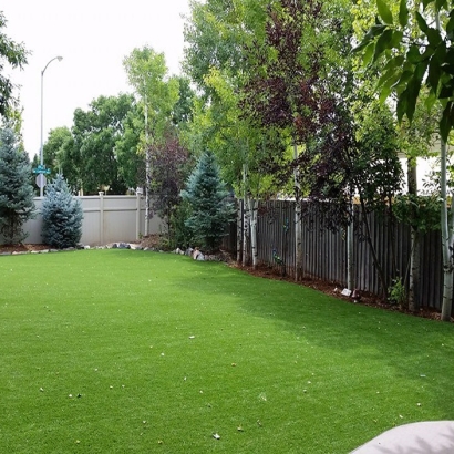 Synthetic Turf: Resources in Valencia, New Mexico