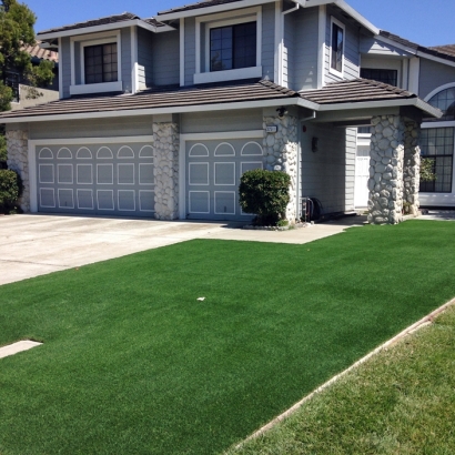 Artificial Grass in Truchas, New Mexico