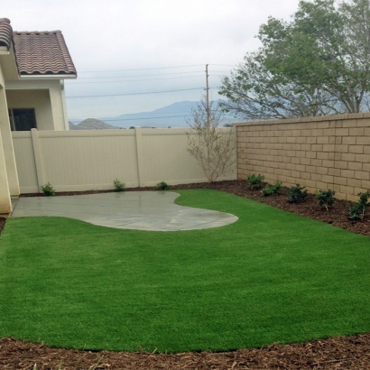 Best Artificial Turf in Cubero, New Mexico