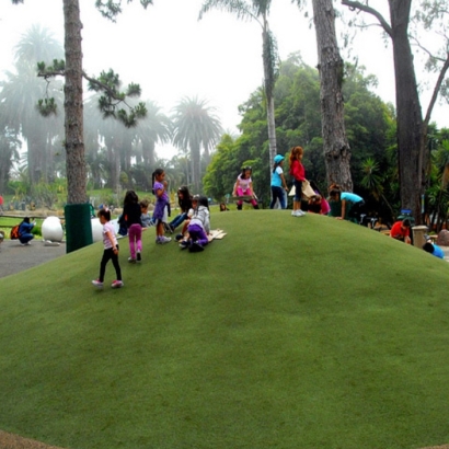 Artificial Lawn Flora Vista, New Mexico Playground, Recreational Areas