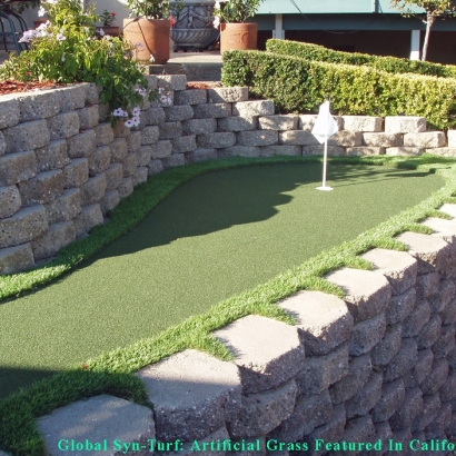 Artificial Grass in Paradise Hills, New Mexico