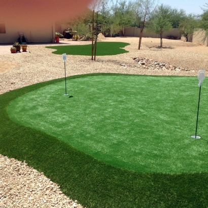 Artificial Lawn Tesuque, New Mexico Best Indoor Putting Green, Backyard Landscaping