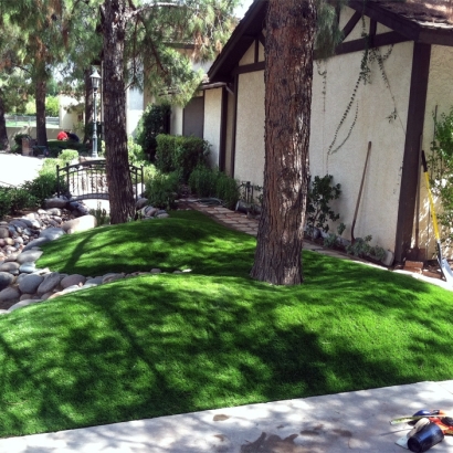 Artificial Grass in Willard, New Mexico