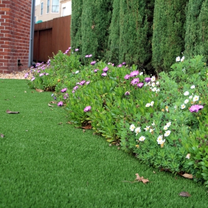 Synthetic Grass in Bosque Farms, New Mexico