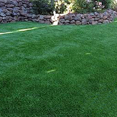 Indoor & Outdoor Putting Greens & Lawns Capulin, New Mexico