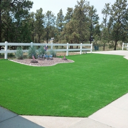 Synthetic Turf in Sandoval County, New Mexico