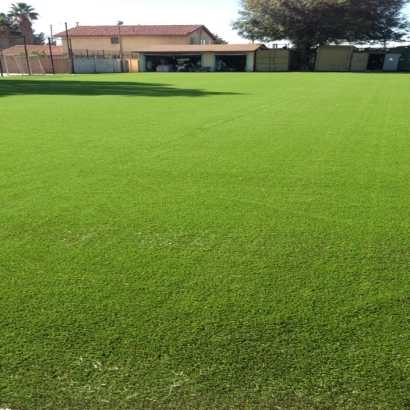 Fake Grass in Cimarron, New Mexico