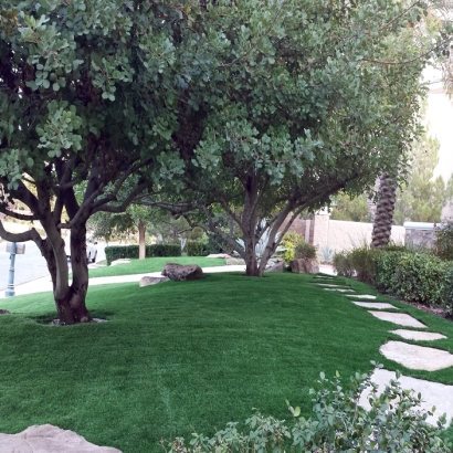 Synthetic Grass in Crystal, New Mexico