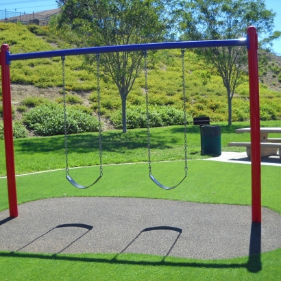 Synthetic Turf in Elephant Butte, New Mexico