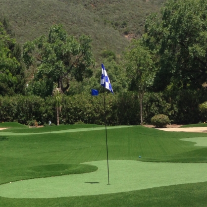 Artificial Turf in Galisteo, New Mexico