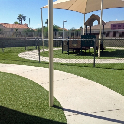 Backyard Putting Greens & Synthetic Lawn in North Valley, New Mexico