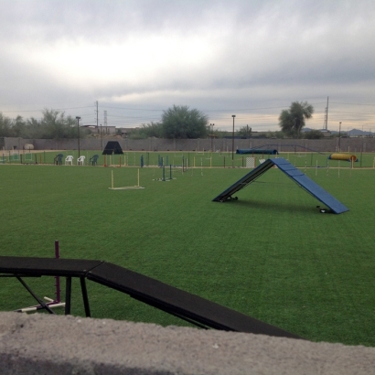 Artificial Grass in Paradise Hills, New Mexico