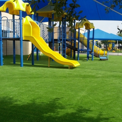 Synthetic Grass & Putting Greens in Youngsville, New Mexico