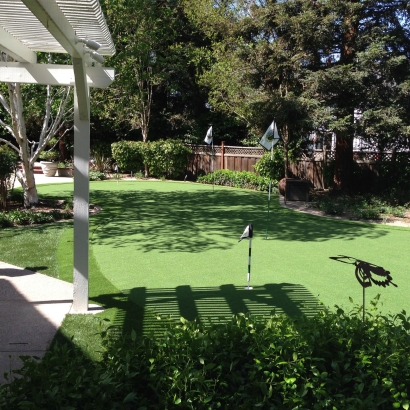 Artificial Turf in Cuartelez, New Mexico