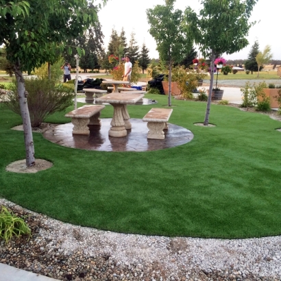 Artificial Turf Cubero, New Mexico Indoor Playground, Commercial Landscape